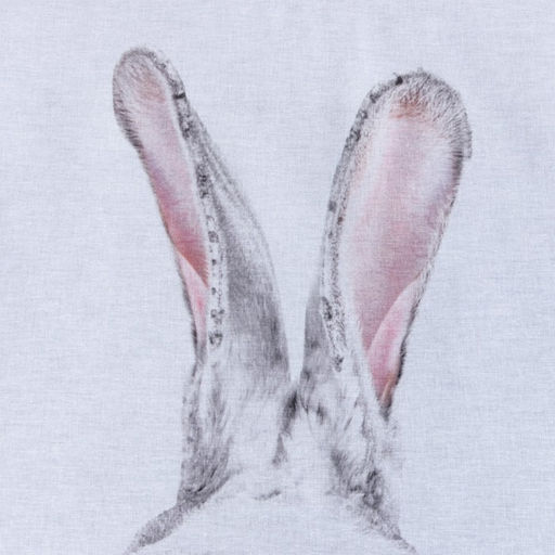 Постельное бельё евро «Этель. Кролик», бязь