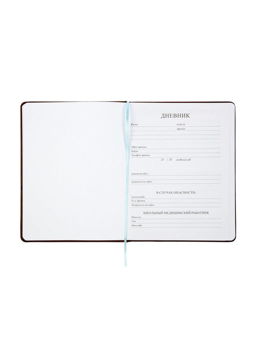 Дневник школьный 1-11 класс, лассе, обложка искуственная кожа коричневая, Рыцарь