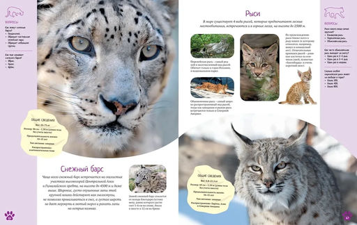 Красочный мир животных. Энциклопедия. Балле К. - Махаон фото 2