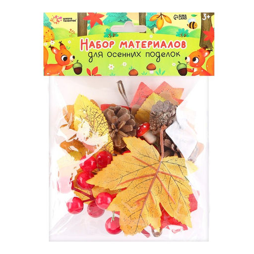 Набор для творчества Материалы для осенних поделок. Листья, шишки - Школа талантов фото 5