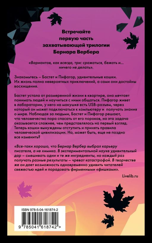 Завтрашний день кошки