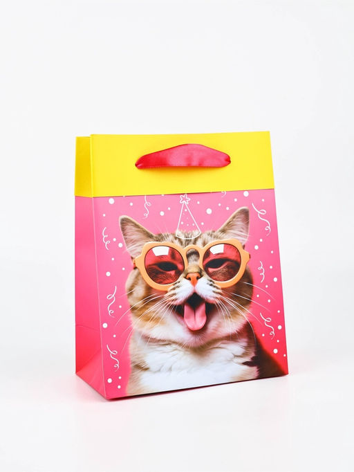 Цена за 2 шт. Пакет ламинированный двухсторонний «Котик», MS 18×23×10 см