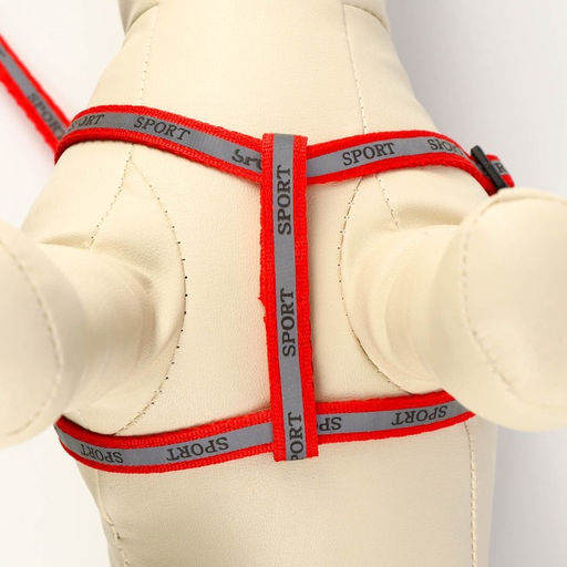 Комплект Спорт светоотражающий, поводок 120 х 1 см, ОГ 23-35 см, красный - Пижон фото 6