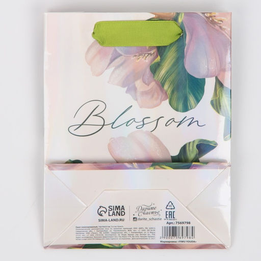 Пакет подарочный ламинированный, упаковка, «Цветение», радужная голография, S 12 х 15 х 5.5 см