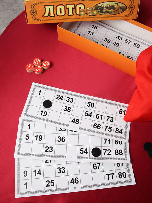 Лото 24х10х5 см / 8813 /уп 72/