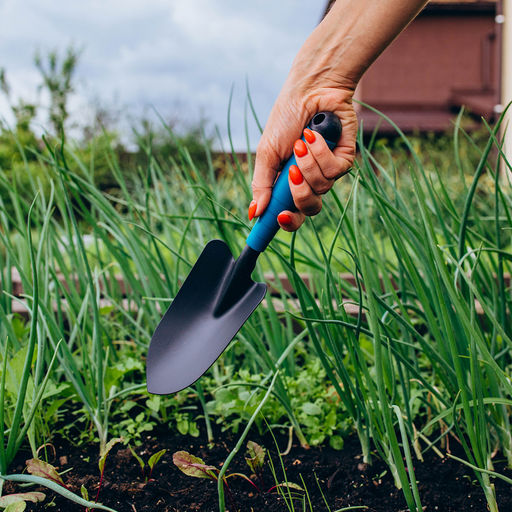 Совок посадочный Greengo, длина 31 см, ширина 8.5 см, пластиковая ручка