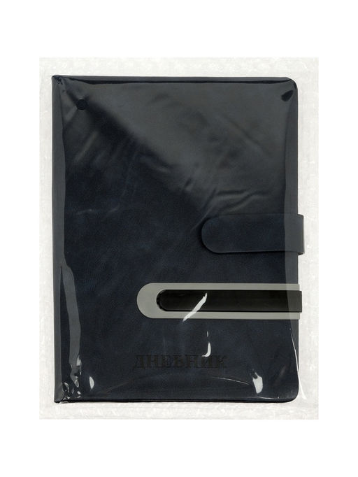 Дневник школьный 1-11 класс, лассе, обложка искуственная кожа серая, с хлястиком, с ручкой   1096906