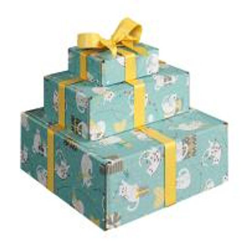 VAL PC-BC-GBk Подарочные коробки - 3шт.: 13*10*4,5, 23*14*7,5, 26*26,5*10см. PARTY CATS, шт - Valiant фото 2