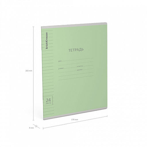 Цена за 160 шт. Тетрадь школьная ученическая ErichKrause Классика Visio ассорти, 24 листа, линейка (в плёнке по 10 шт.) фото 35