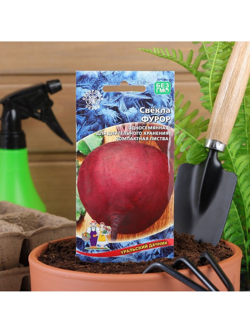 Набор семян Свекла "Фурор" округлая, с тёмно-красной мякотью, 5 шт.