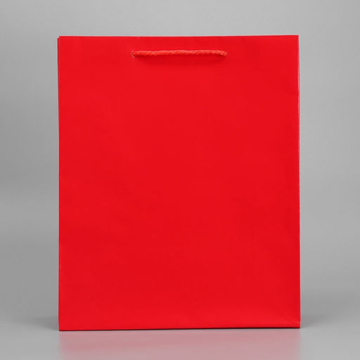 Пакет ламинированный Red, M 24 х 29 х 9 см - Доступные радости фото 4