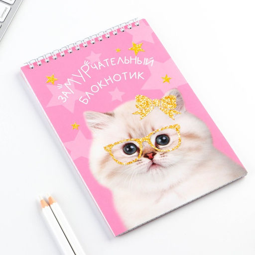 Цена за 2 шт. Блокнот, А5, 40 л., обложка картон «Котик»