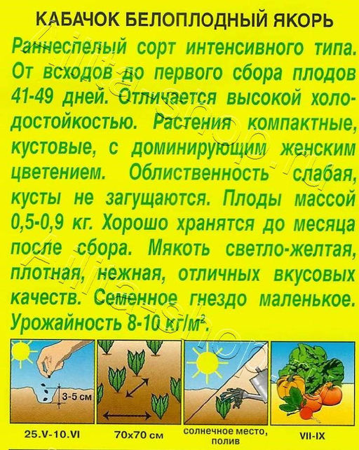 Кабачок Якорь (белоплодный) 2г (Аэлита)