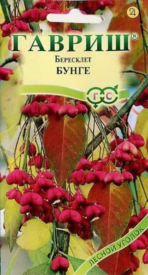 Бересклет Бунге 0,2гр (г)