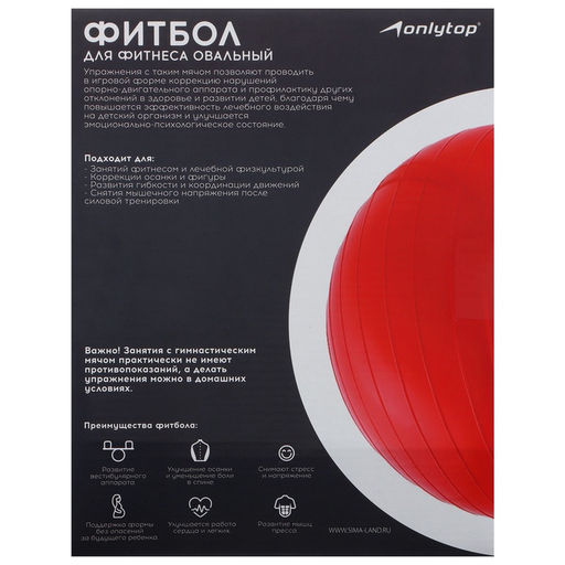 Фитбол «Гантель» ONLYTOP, 75×38×38 см, 900 г, цвет МИКС
