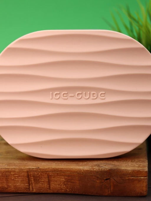 Форма для льда с контейнером "Square circle" (18,6*13,5*8 см)