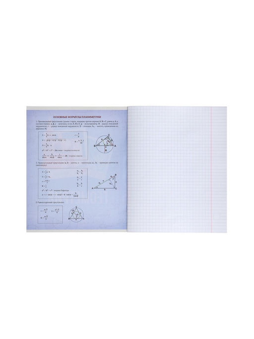 Цена за 10 шт. Предметная тетрадь по геометрии Calligrata «Фото», 48 листов, в клетку, со справочным материалом, обложка из мелованного картона