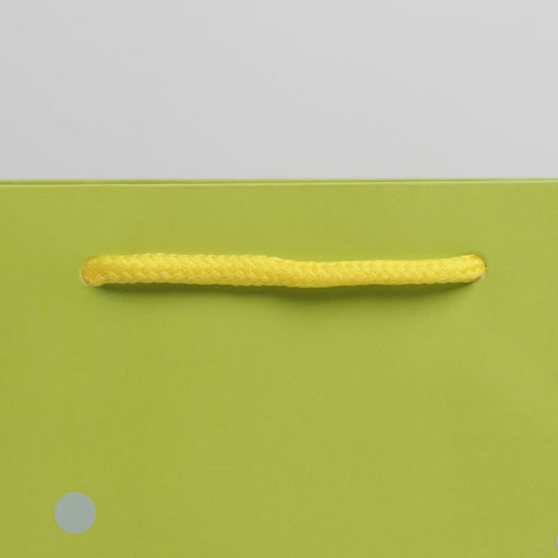 Цена за 5 шт. Пакет подарочный, упаковка, «Три медведя», 20×20×8 см