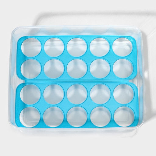 Контейнер для хранения яиц Доляна, 20 ячеек, 27.5×22×7 см, пластик, МИКС