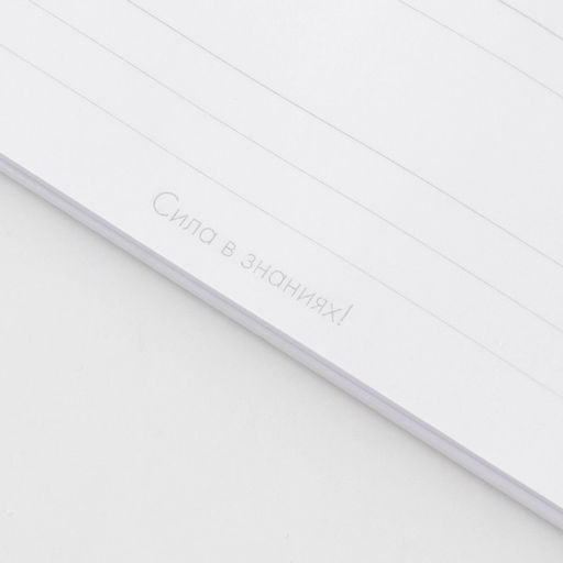 Ежедневник на гребне Золотому воспитателю, формат А5, 60 листов, твердая обложка - Artfox фото 4