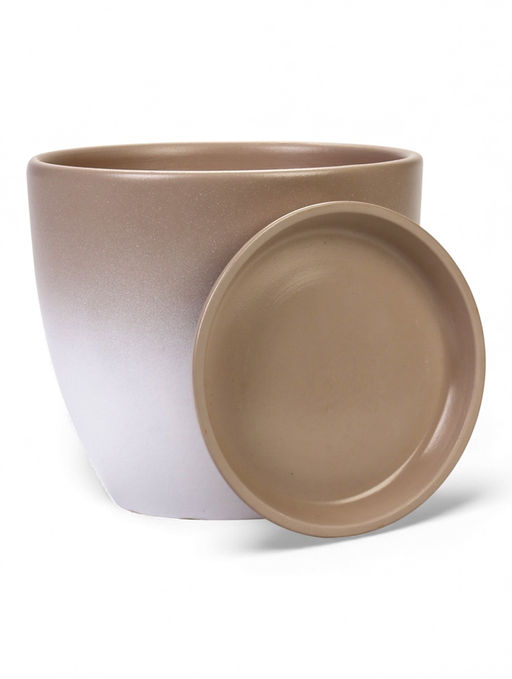 Горшок цветочный с поддоном 5 л, d122/h19,5 см капучино керамика, "Туман" (М)