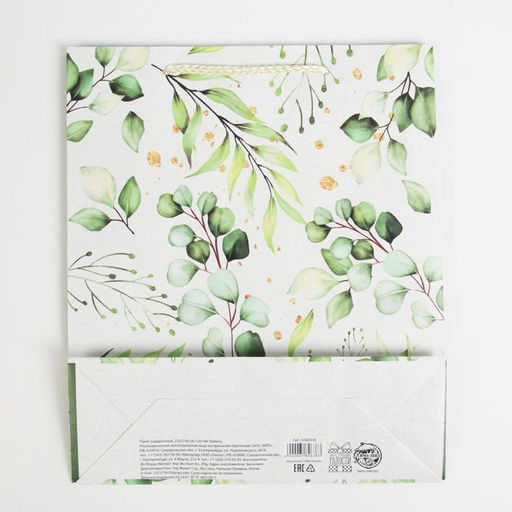 Цена за 2 шт. Пакет подарочный ламинированный, упаковка, Present for you, ML 21?25?8 см