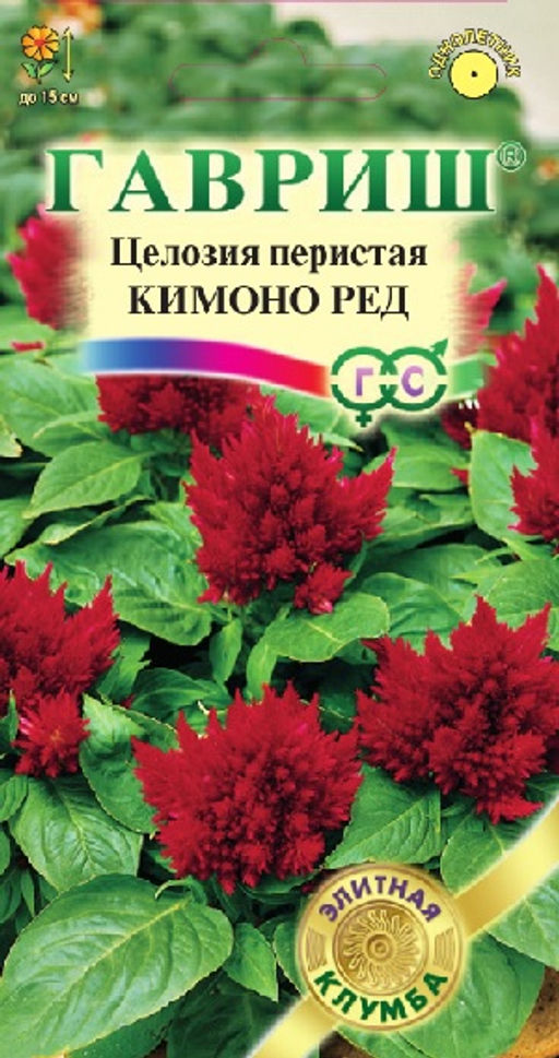 Кимоно Ред целозия перистая 8шт (г)