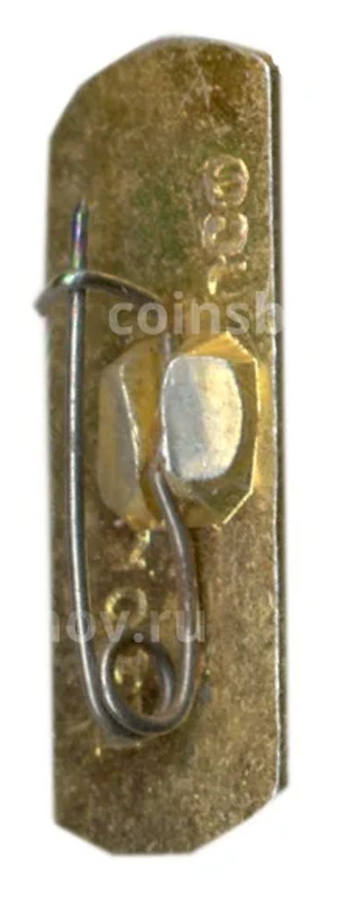 Значок Теберда