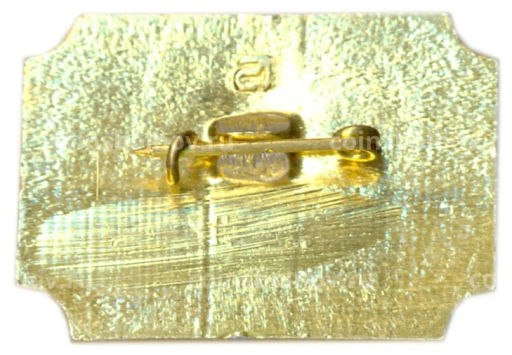 Значок Санкт-Петербург  дворей-музей А.Д.Меншикова