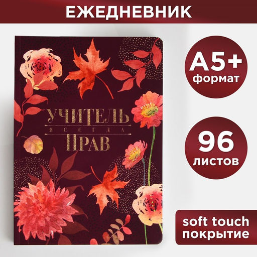 Большой ежедневник Учитель всегда прав, soft-touch, формат А5+, 96 листов, мягкая обложка, линейка
