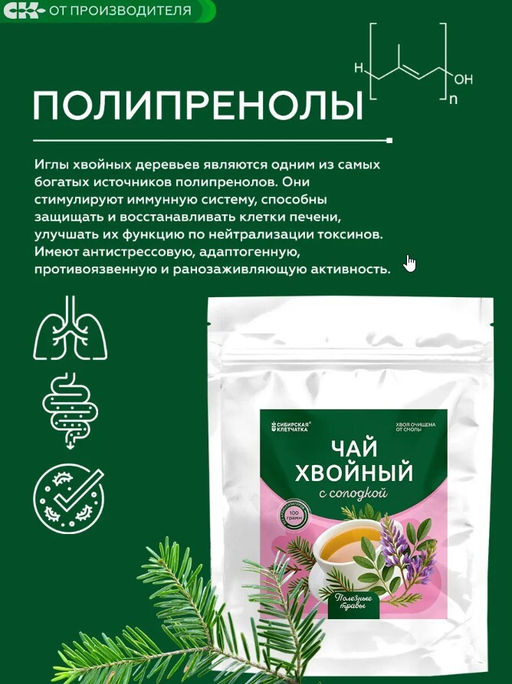 Хвойный чай с Солодкой (напиток чайный) /100 г / ТМ Сибирская клетчатка