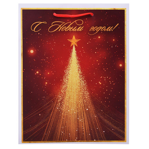 Бумажный пакет для сувенирной продукции с ламинацией,с шириной основания 17,8 cм.