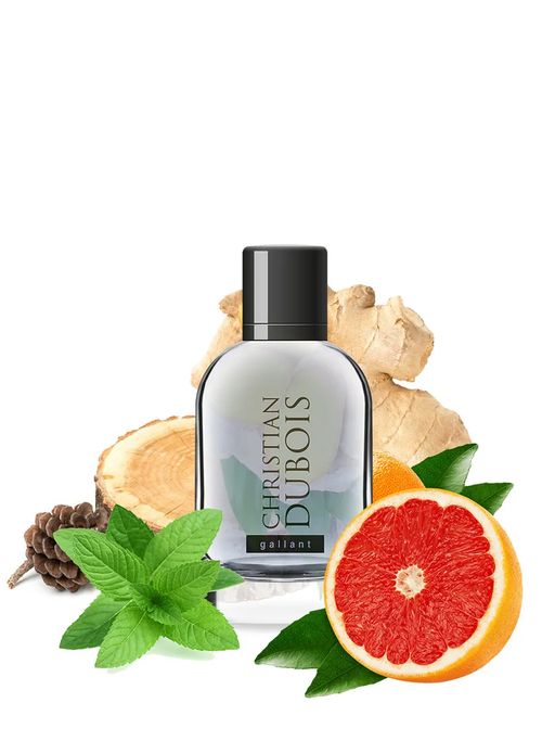 Dilis CHRISTIAN DUBOIS Gallant Туалетная вода для мужчин 100 мл  фото 2