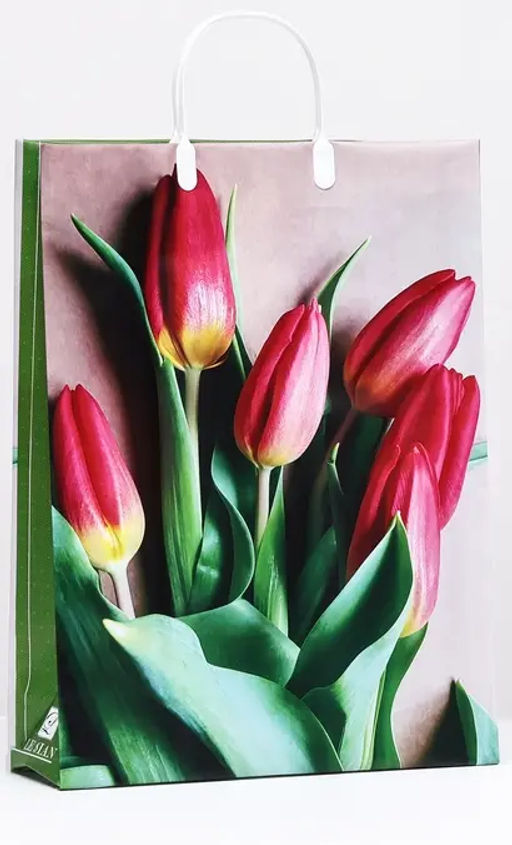 9868 Сумка пластик. BAL 180 (32*42*10см) большая, тюльпаны *20