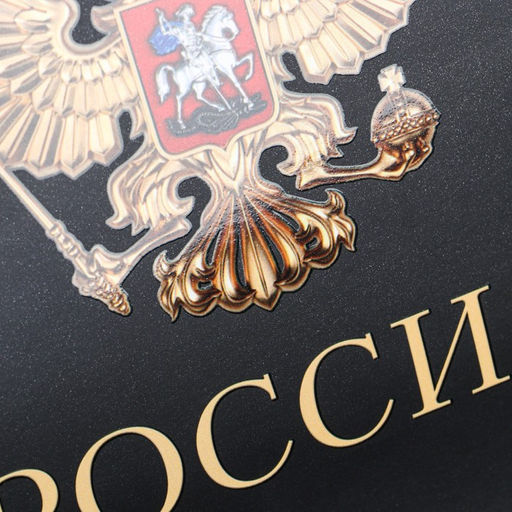 Пакет подарочный Россия в душе моей, 32 26 12 см - Дарите счастье фото 3