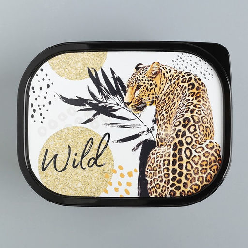 Цена за 2 шт. Ланч - бокс прямоугольный Wild, 500 мл