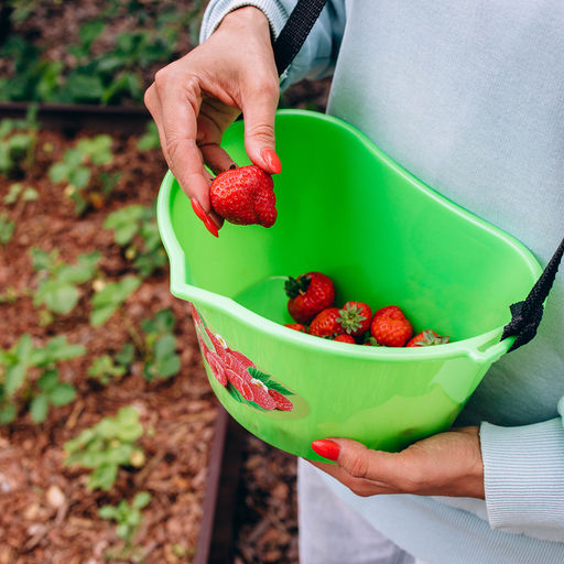 Цена за 2 шт. Ёмкость для сбора ягод, 3 л, «Малина»
