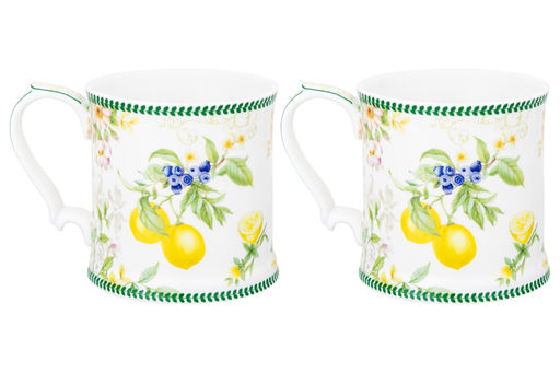 Набор 2 кружек 380 мл 12,3*9*9 см Лимоны NEW BONE CHINA - Elan gallery фото 14