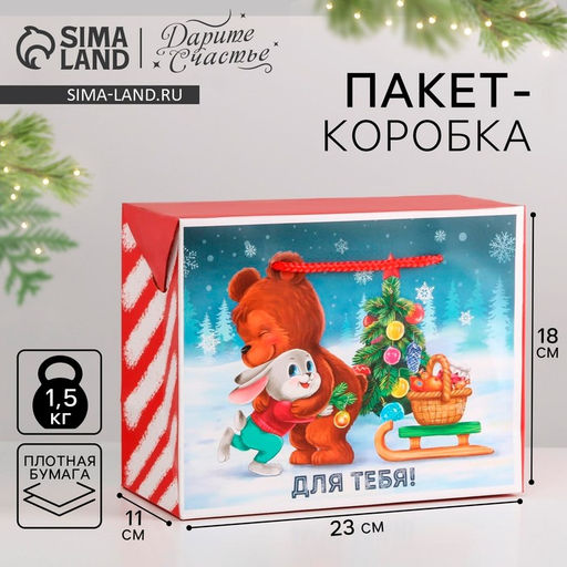 Цена за 2 шт. Пакет - коробка подарочный новогодний Для тебя, 23?18?11 см