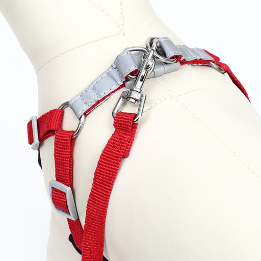 Комплект Sport+, S, поводок 120 x 1,5 см, ОШ 39-41 см , ОГ 44-48 см, вес животного 7-13 кг, красный - Пижон фото 4