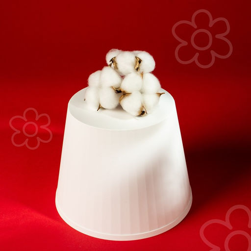 Декор для творчества «Сухие цветы хлопка» на проволоке, 3 шт.