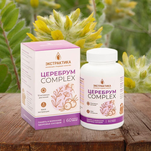 Церебрум комплекс для здоровья головного мозга