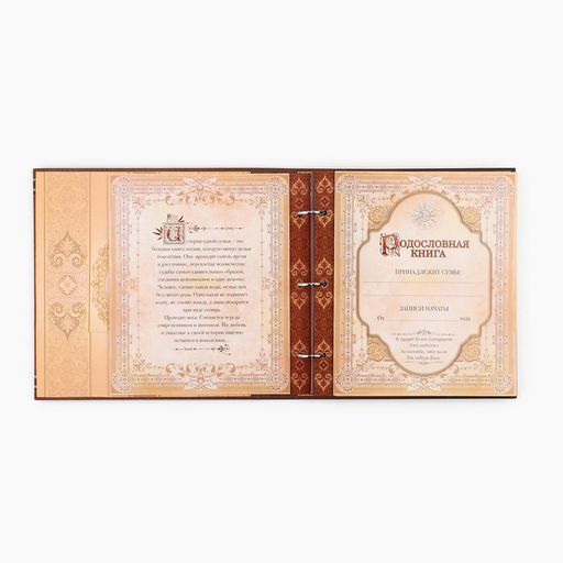 Родословная книга с рамкой под фото «Семейная», 21.5×23.7 см
