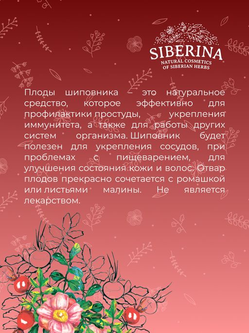 Шиповник (плоды) защита от простуд и инфекций - Siberina фото 7