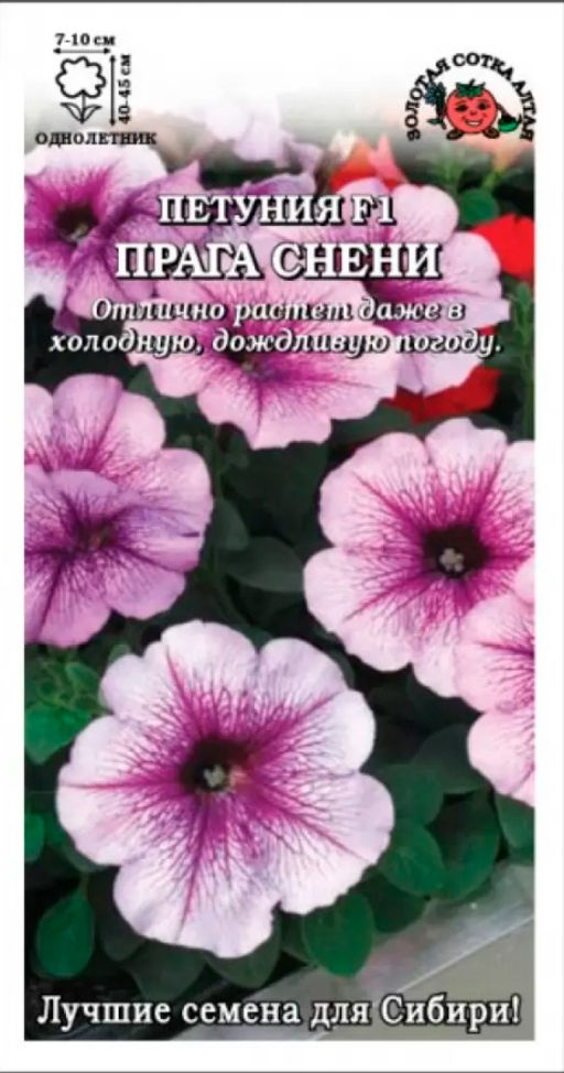 Петуния Прага Снени F1 светло-фиолетовая с прожилками 10шт. (Золотая сотка Алтая)