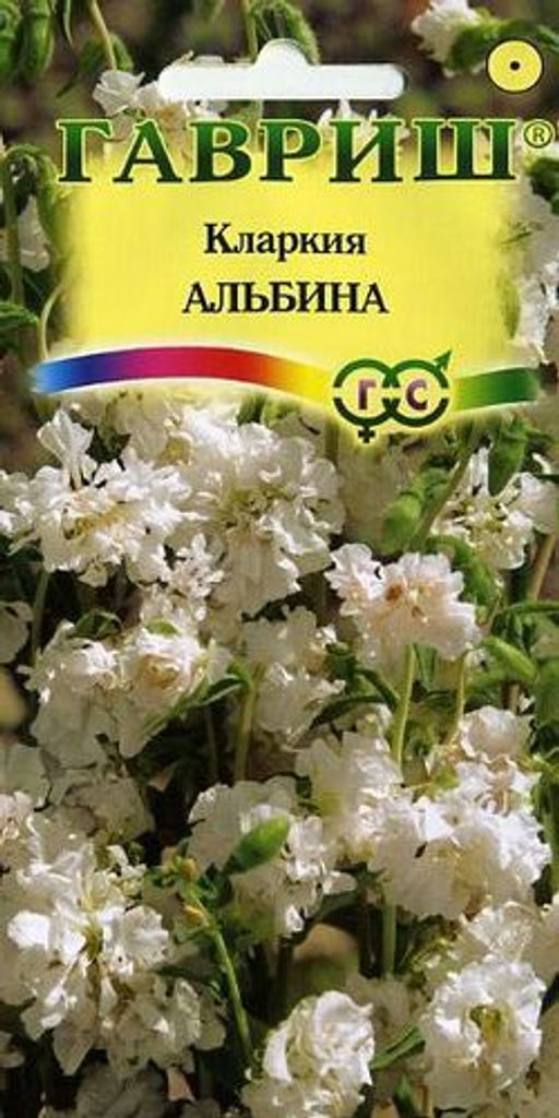 Кларкия Альбина изящная 0,05г (г)