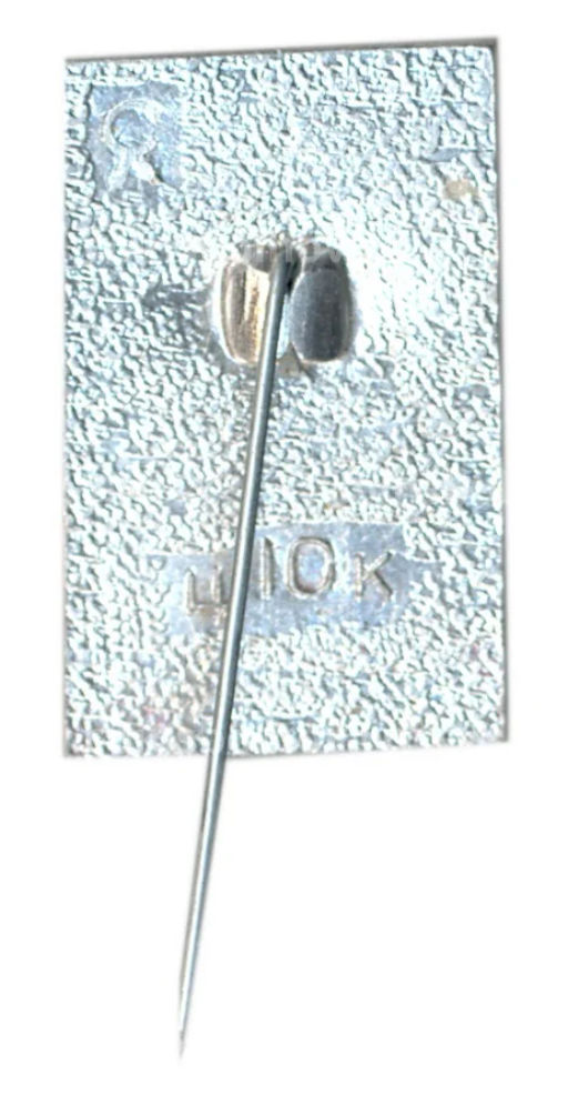 Значок Павловск