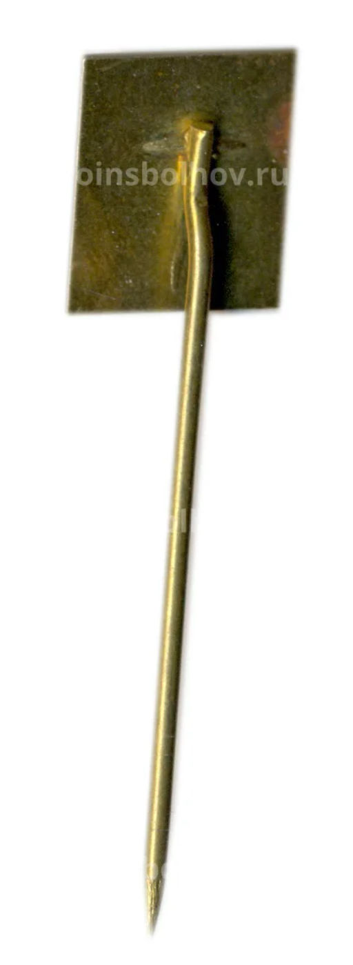 Значок Вьен (Франция)