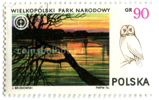 Марка Великопольские национальный парк (Серая Неясыть) 1976 год Польша