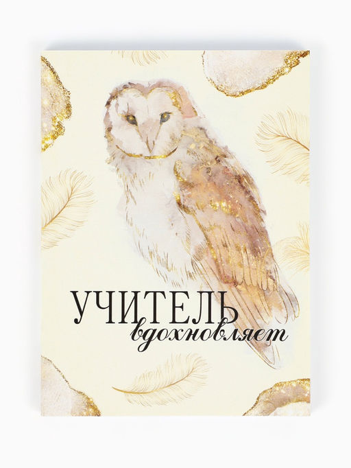 Цена за 2 шт. Ежедневник недатированный, А6, 80 л., мягкая обложка Золотой учитель